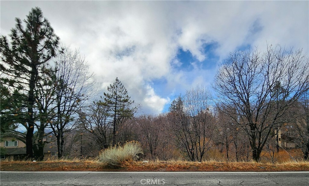 Property Photo: 0 State Hwy 173 CA 92352