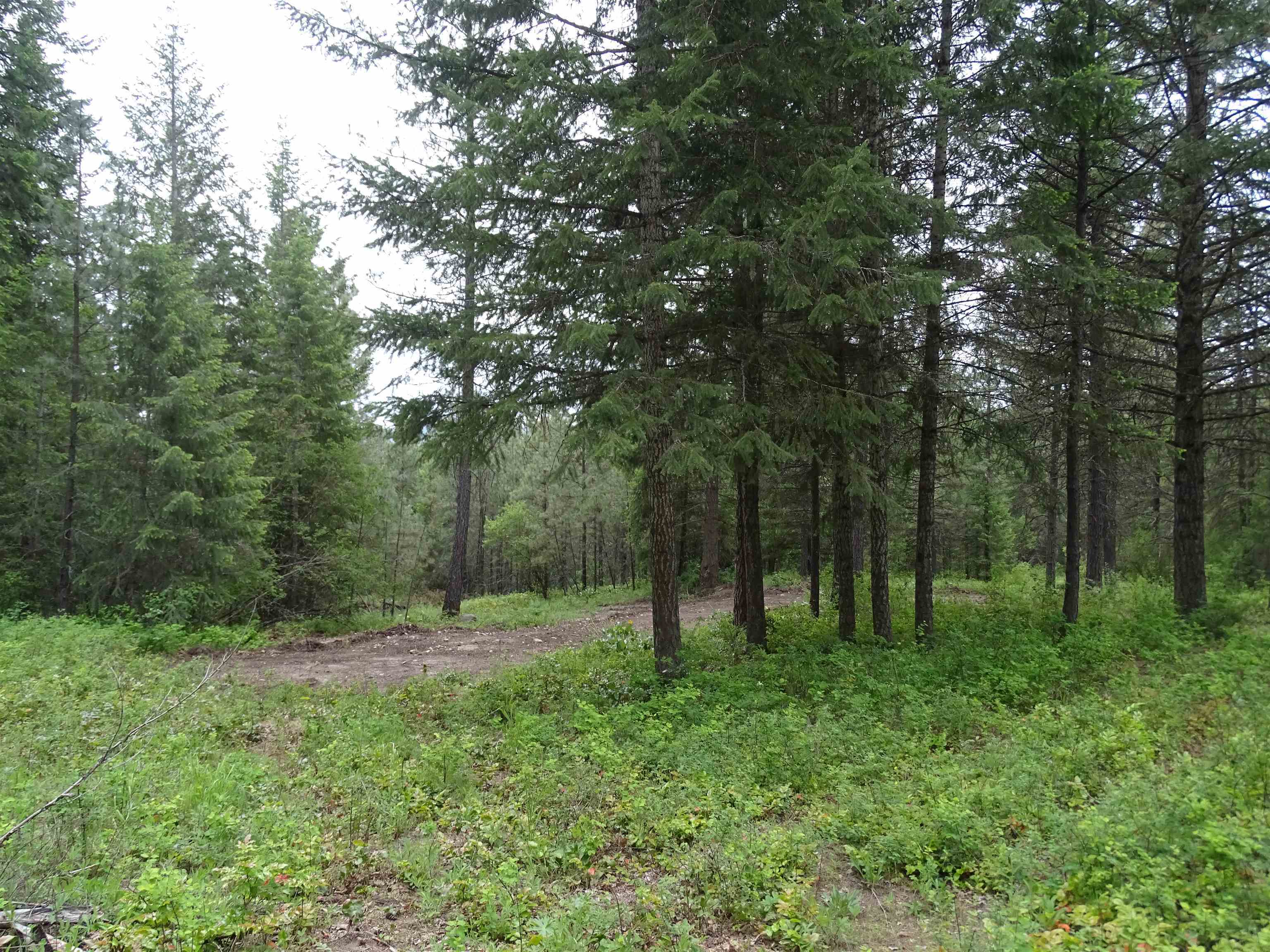 Property Photo:  3023 Huffman Rd  WA 99181 