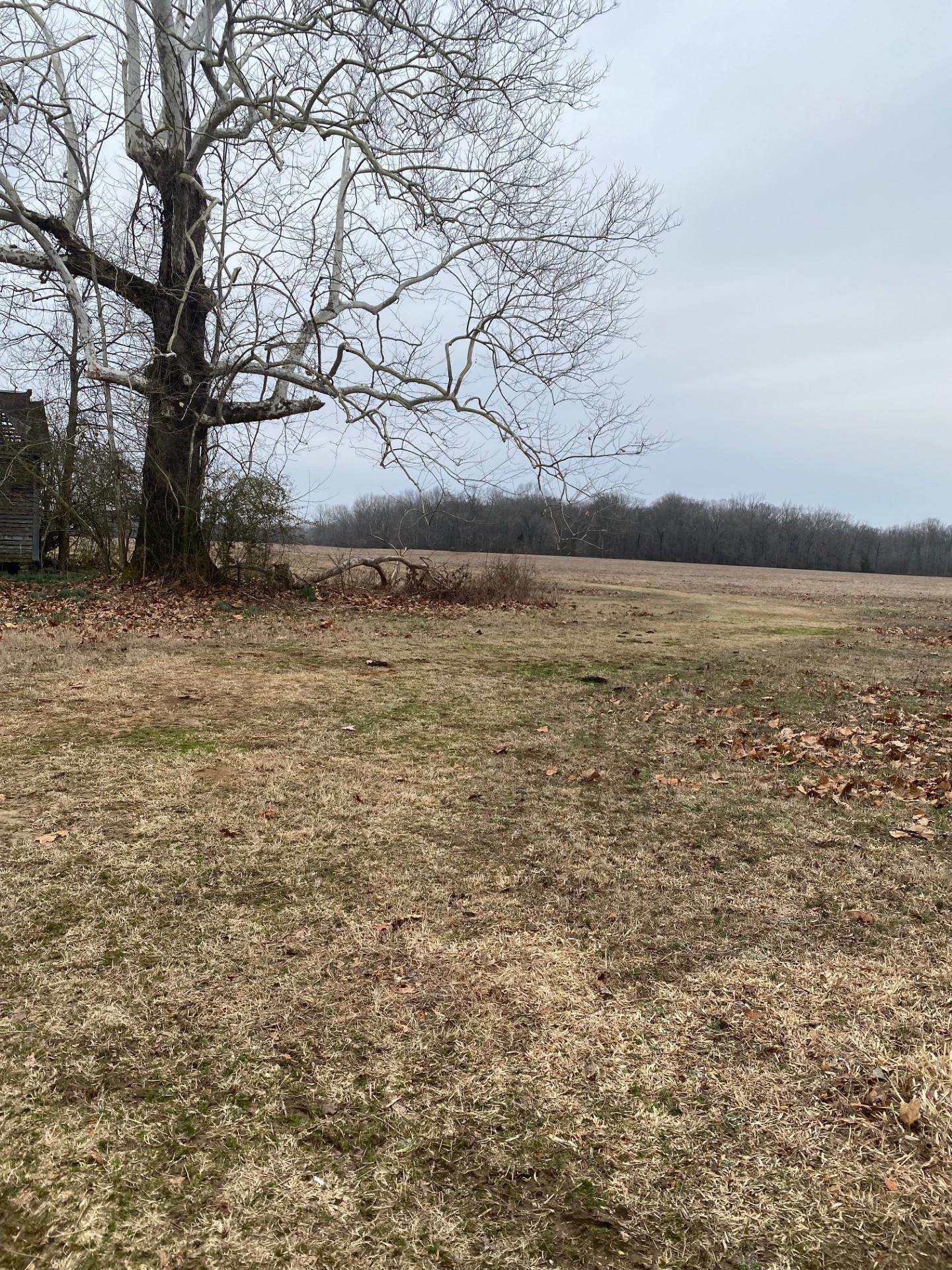 Property Photo:  00 W Reveley Road  AR 72007 