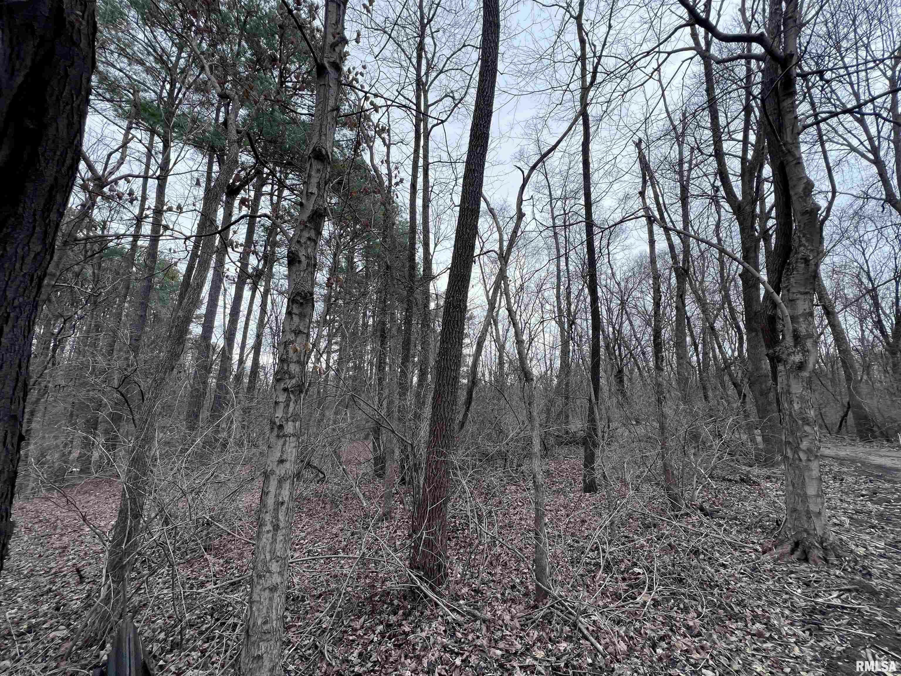 Property Photo: 449 Pine Lane IL 62966