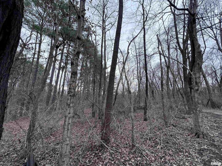 Property Photo:  449 Pine Lane  IL 62966