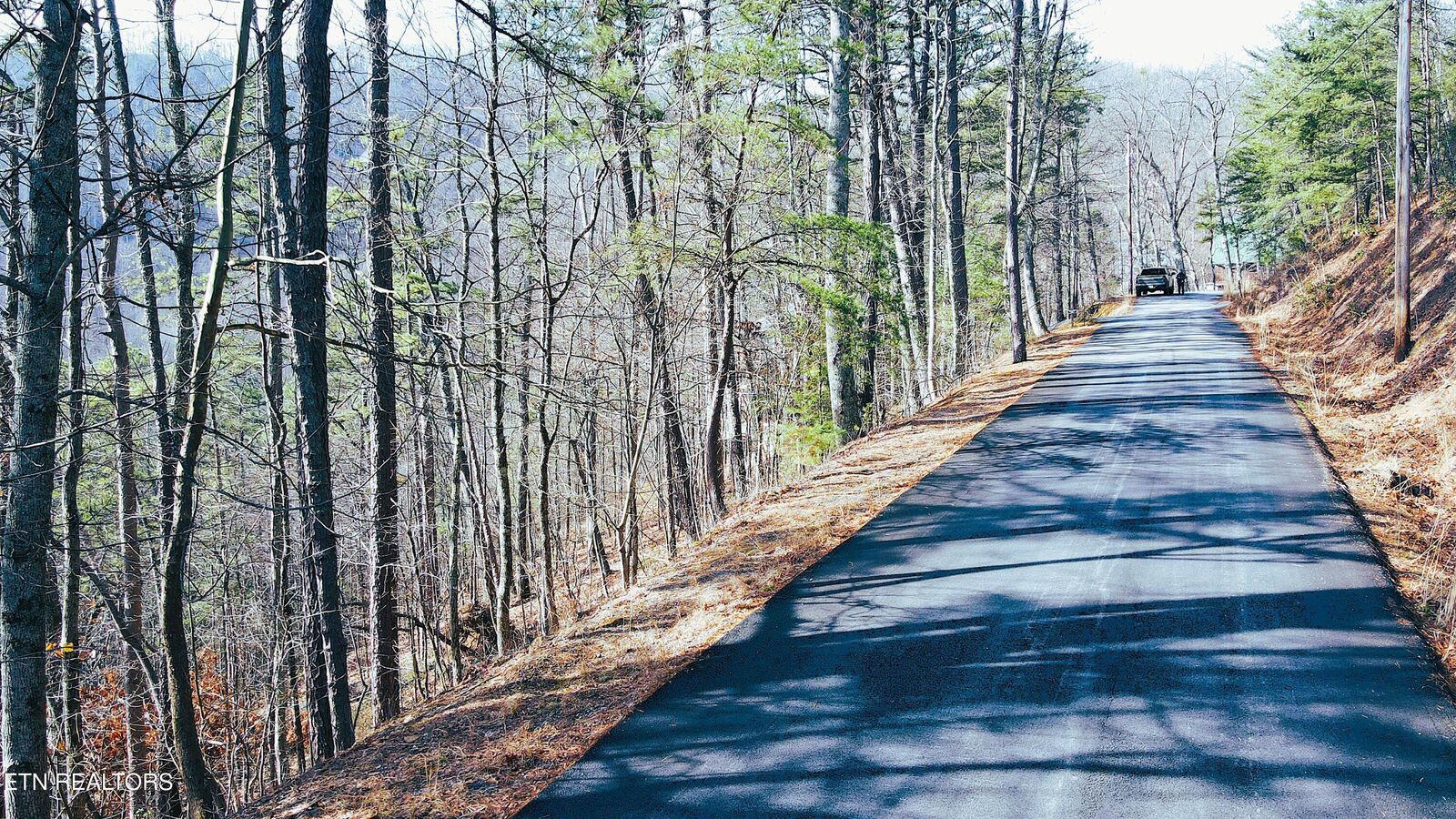 Property Photo: Overholt Trl Lot 2B TN 37862