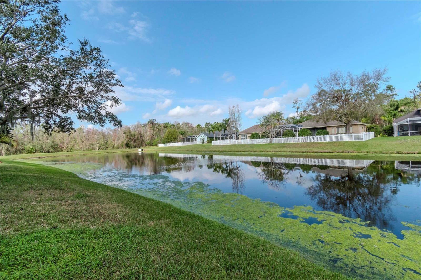 Property Photo: 27045 Firebush Drive FL 33544