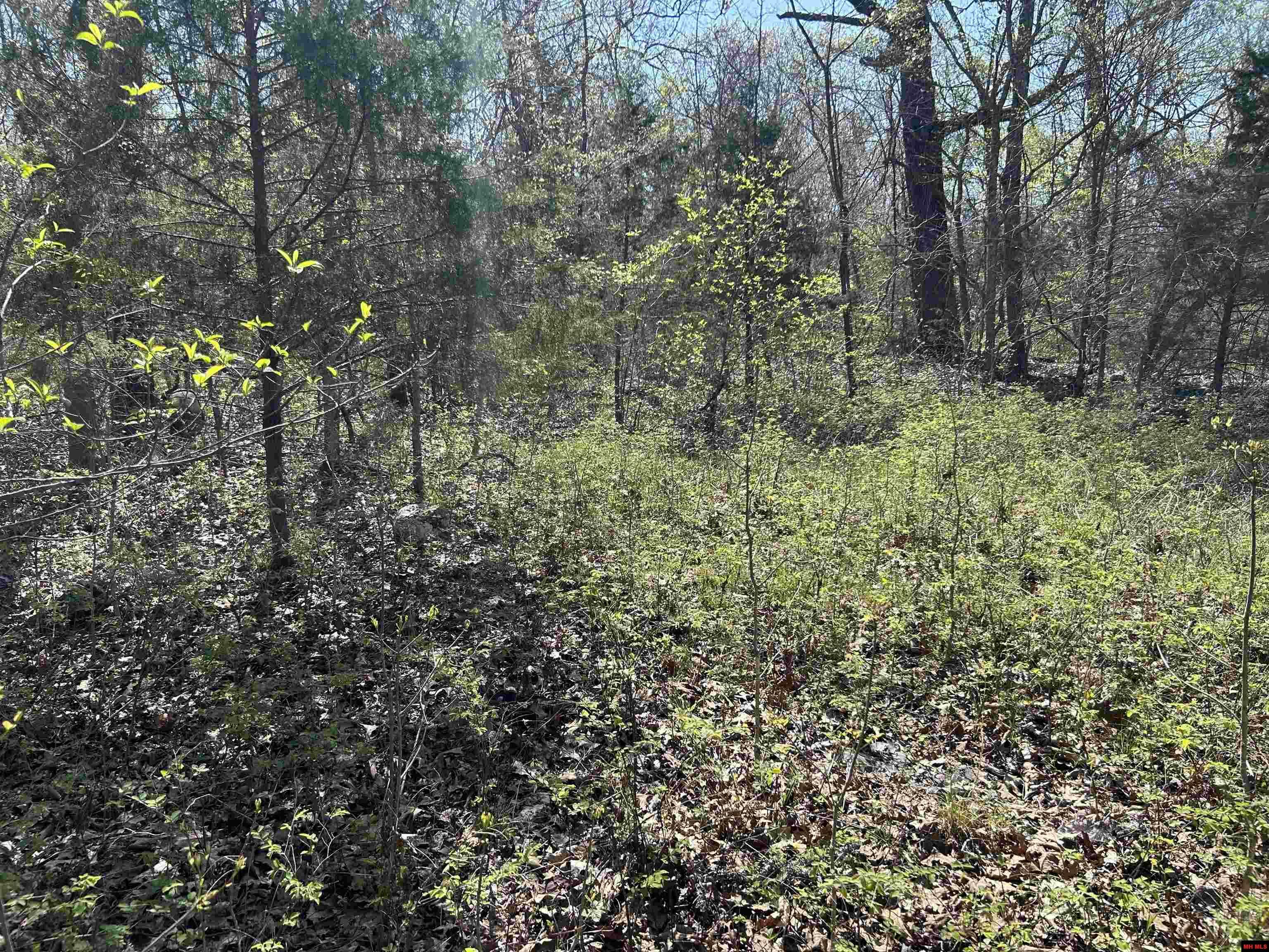 Property Photo: 001-06369-002 Lansbury Lane AR 72653