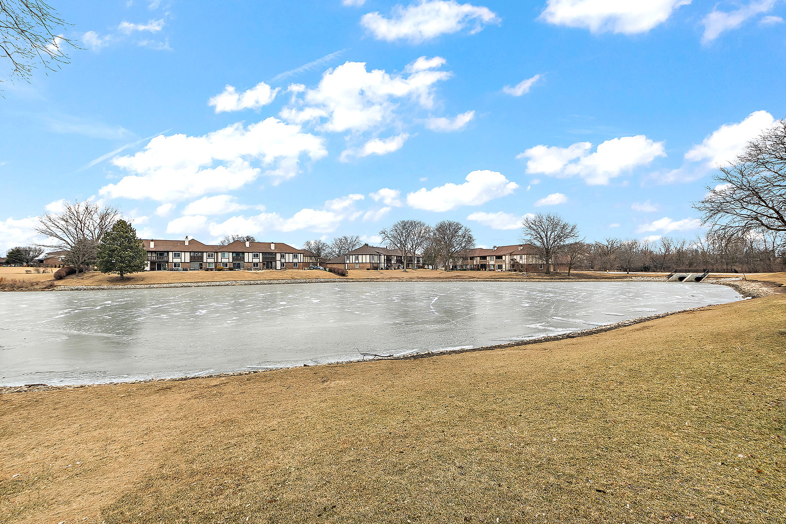 Property Photo:  15706 Orlan Brook Drive 165  IL 60462 