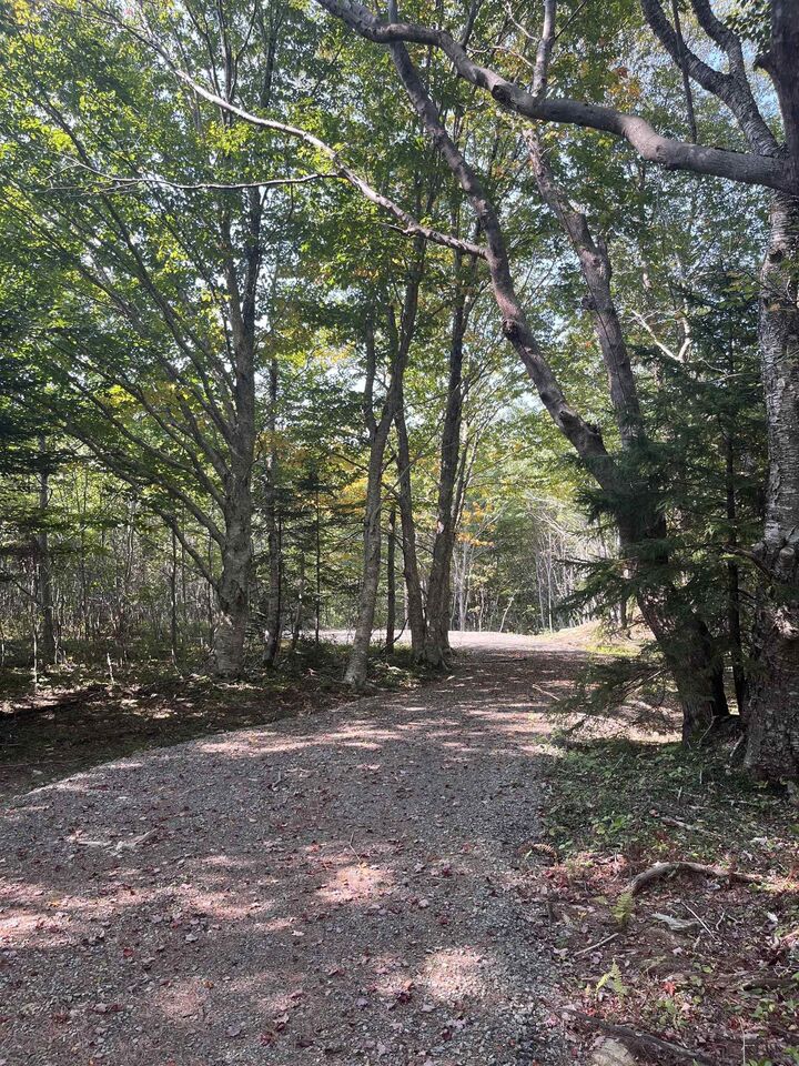 Lot 340 Highway — photo 1