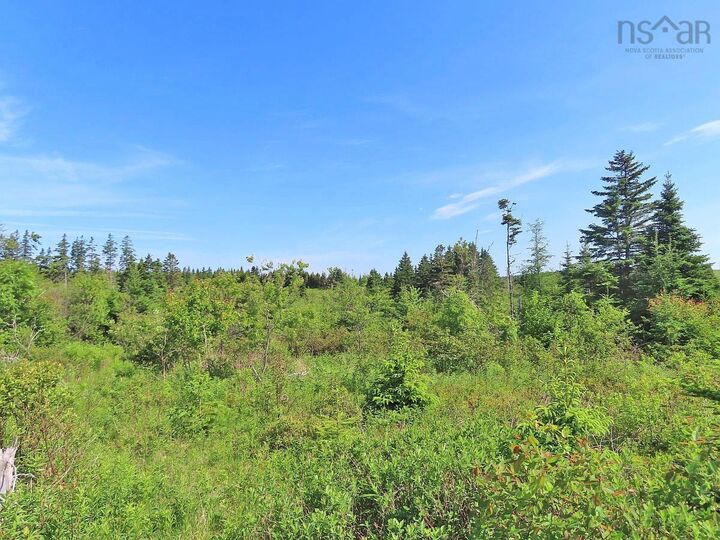 Property Photo:  Lot 2 Old Trunk 4 Highway  NS B0E 3B0 