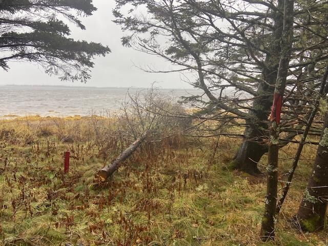 Property Photo:  Lot N-1 Port Latour Road  NS B0W 1E0 