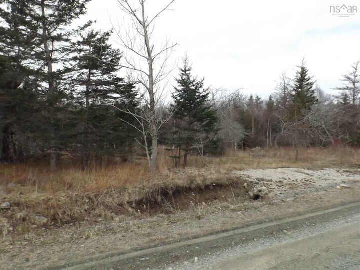 Roberts Island — photo 1