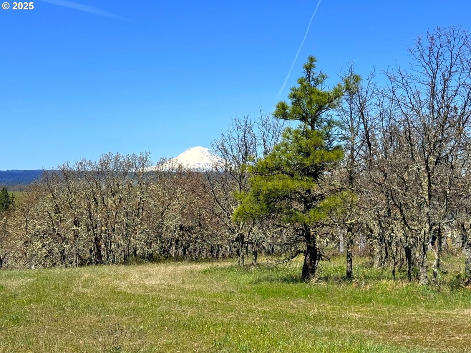 Property Photo:  Off Centerville Hwy 3  WA 98635 