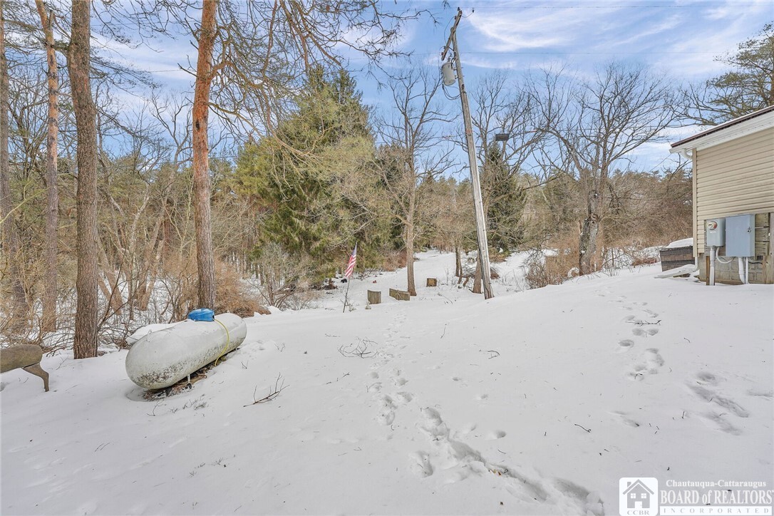 Property Photo: 954 Lyndon Road NY 14737
