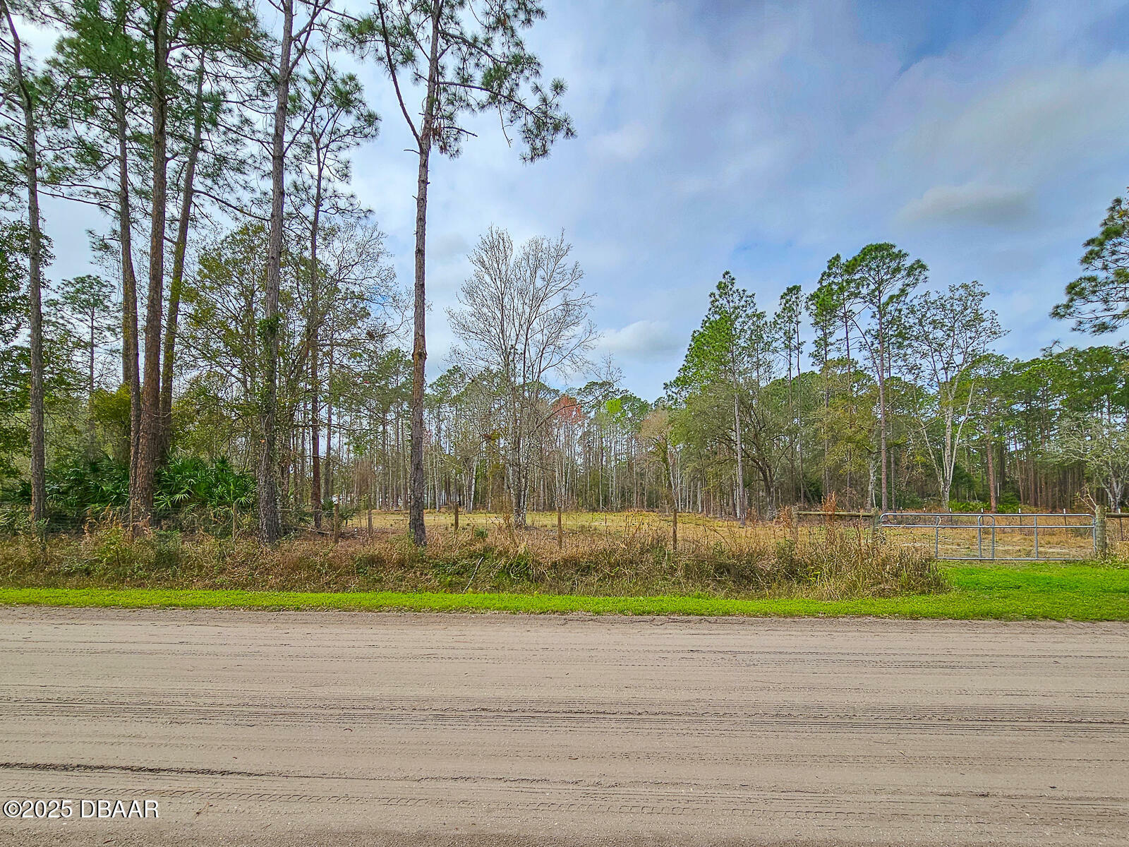 Property Photo:  1718 Papaya Street  FL 32110 