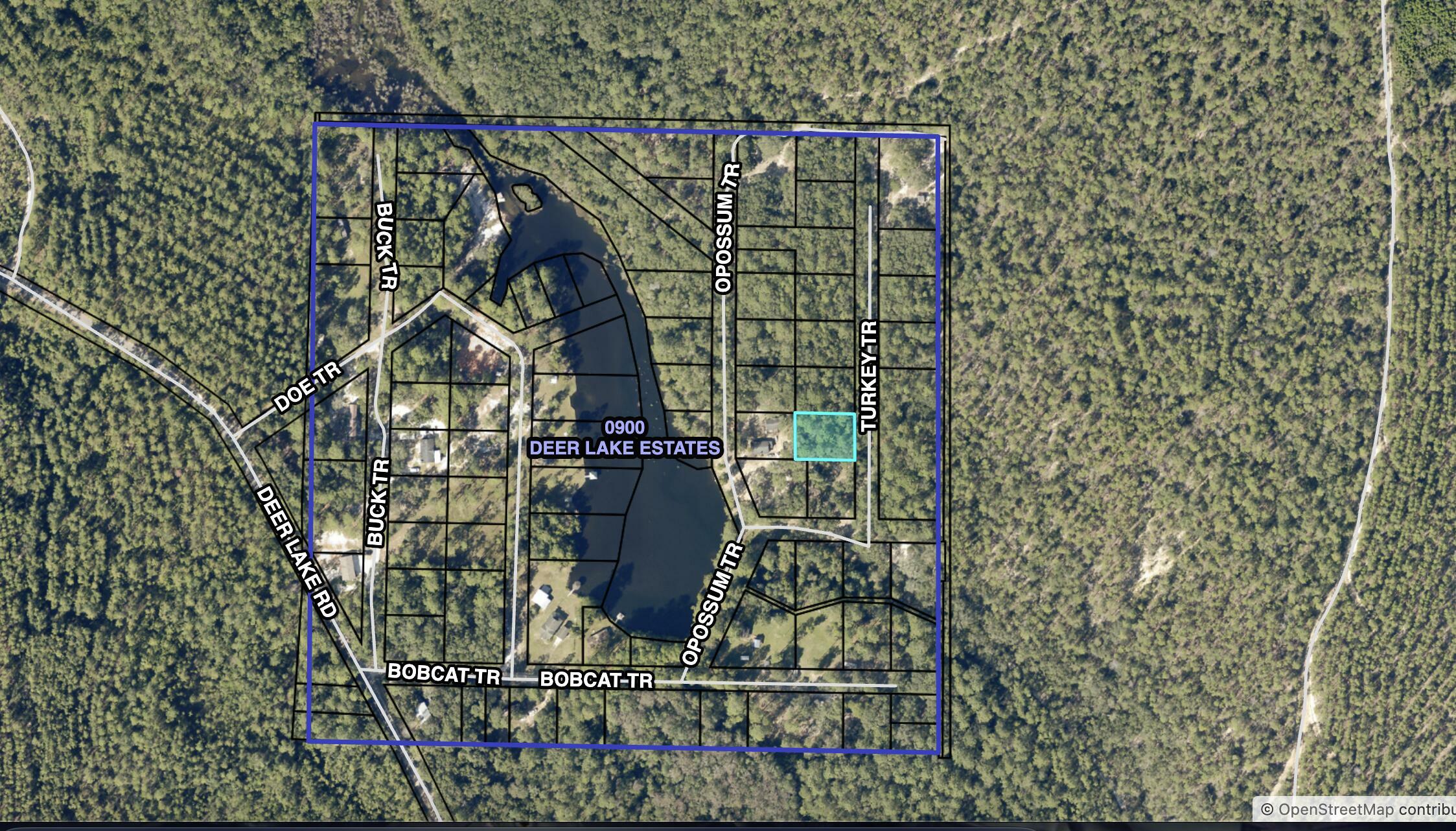 Property Photo: Tbd Turkey Trail FL 32583