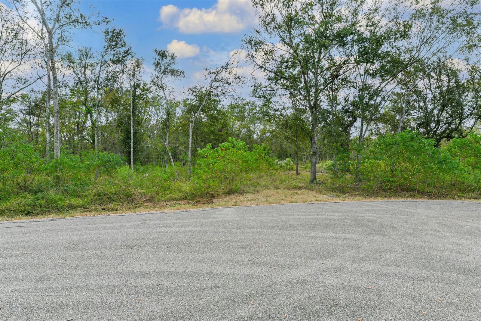 Property Photo: 0 Live Oak St TX 77430