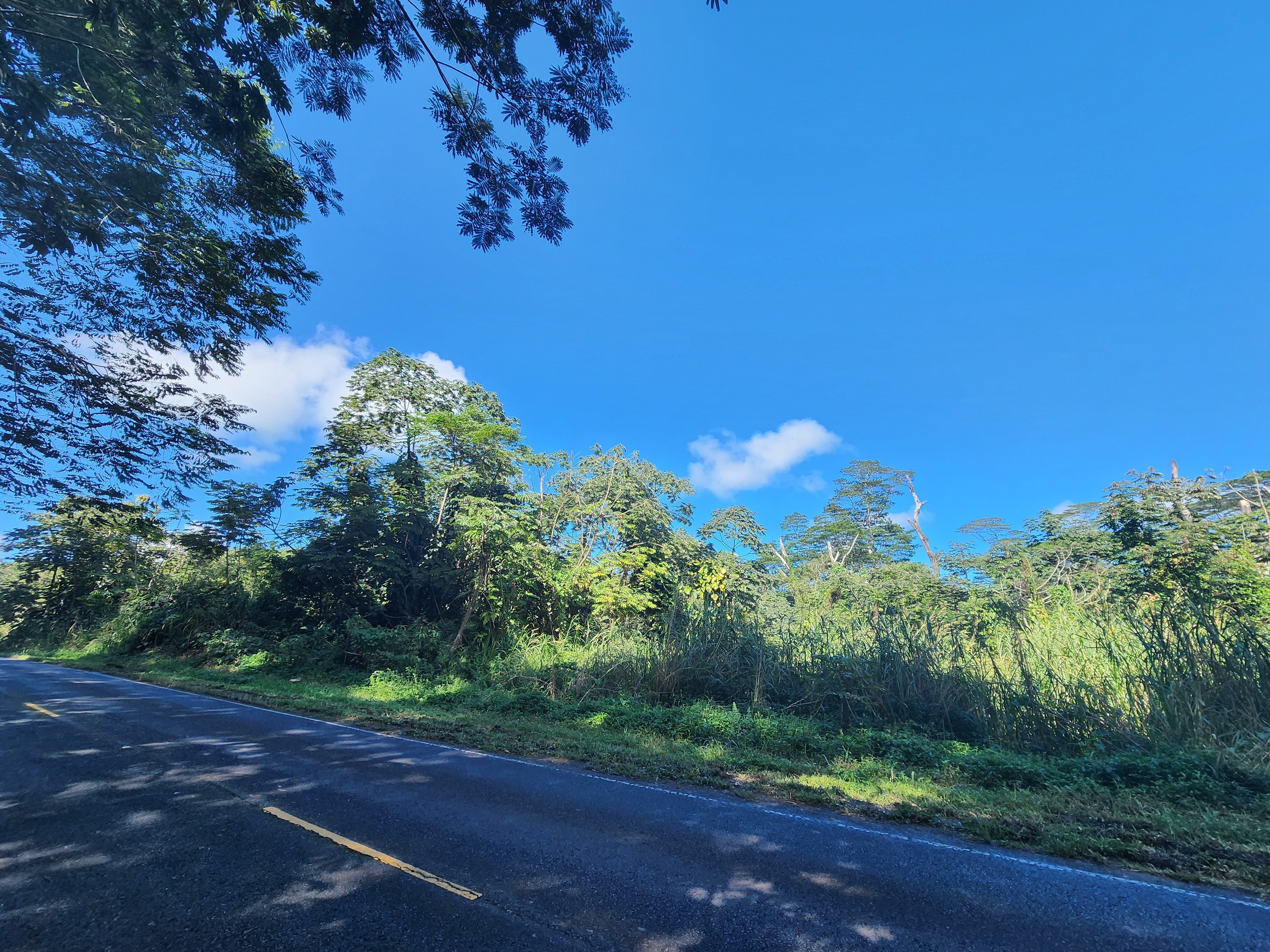 Property Photo:  Pahoa Kapoho Rd  HI 96778 