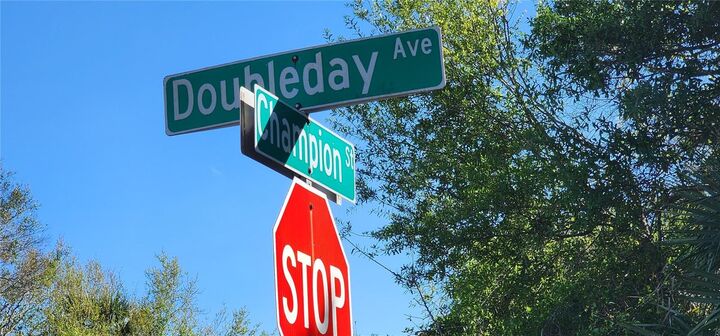 Property Photo:  13333 Doubleday Avenue  FL 33953