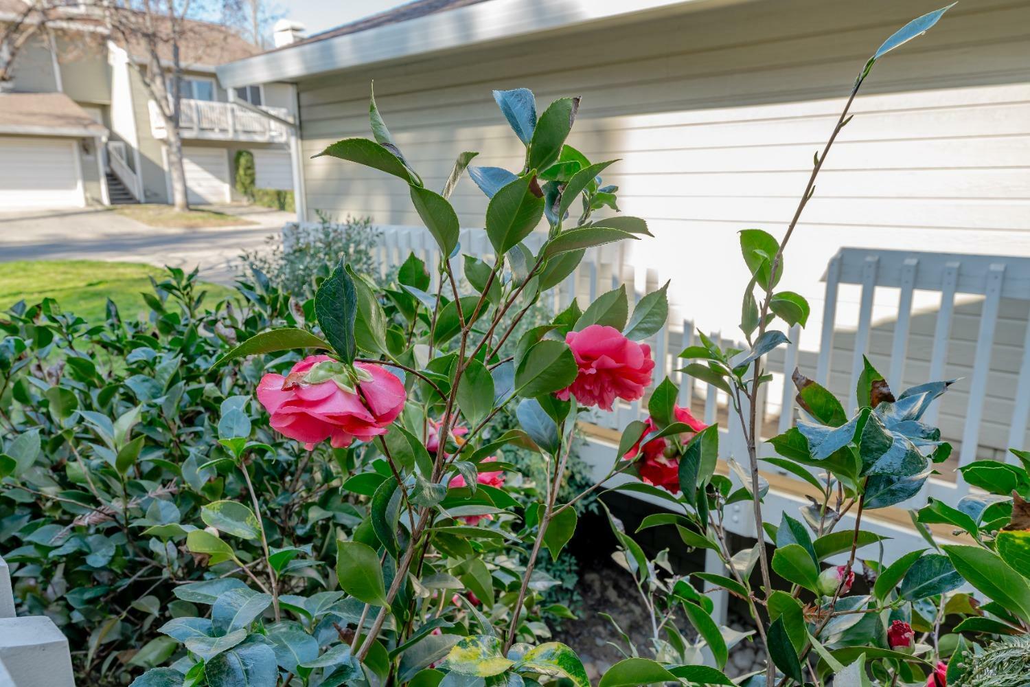 Property Photo: 121 Valley Oak Dr. CA 95678