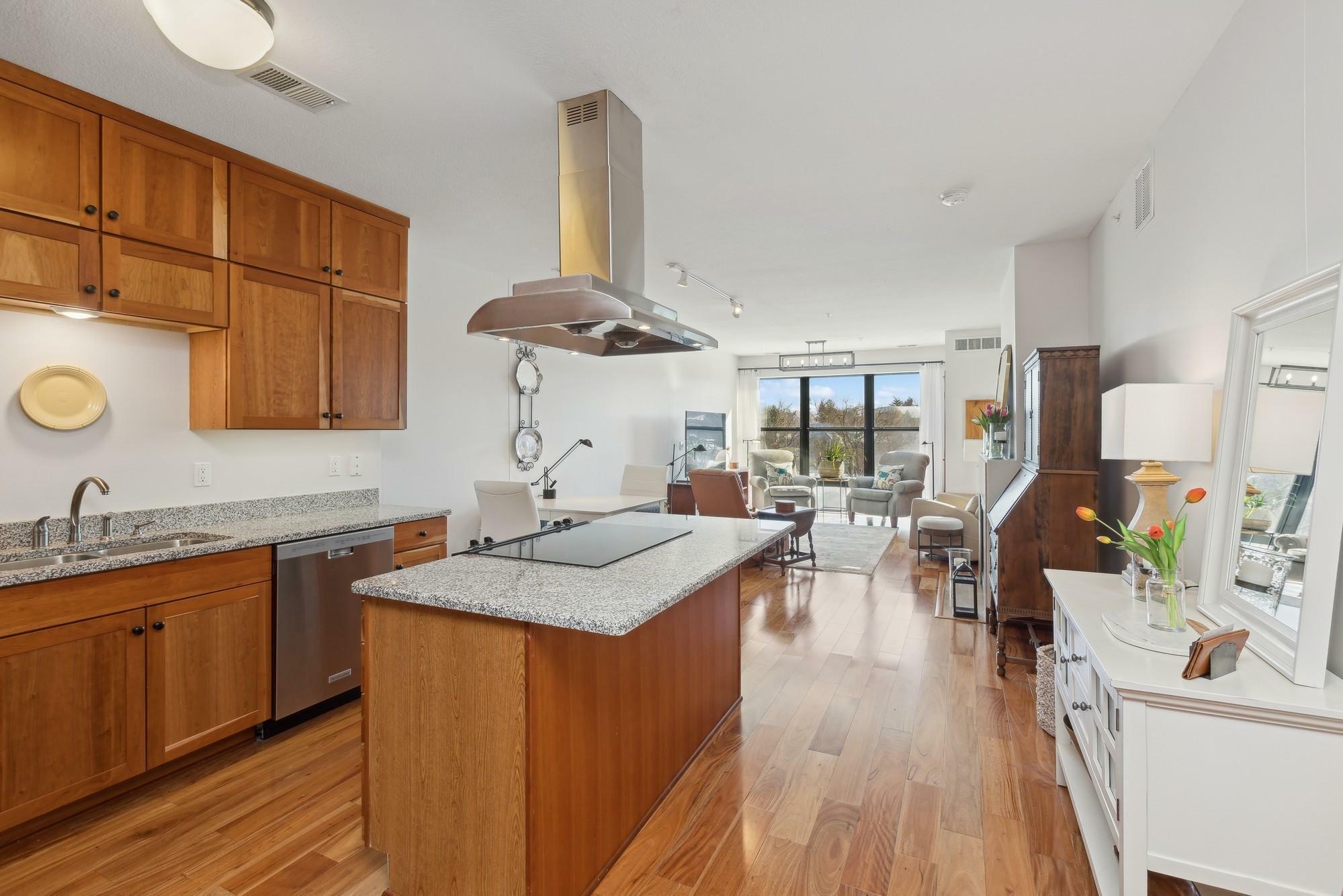 101 Saint Olaf Avenue 304  Northfield MN 55057 photo