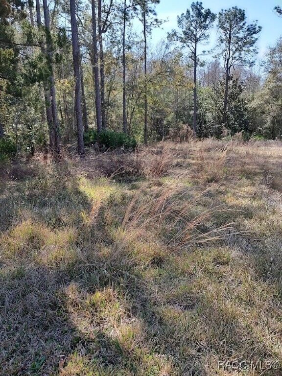 Property Photo: 7636 Narcissus Lane FL 34448