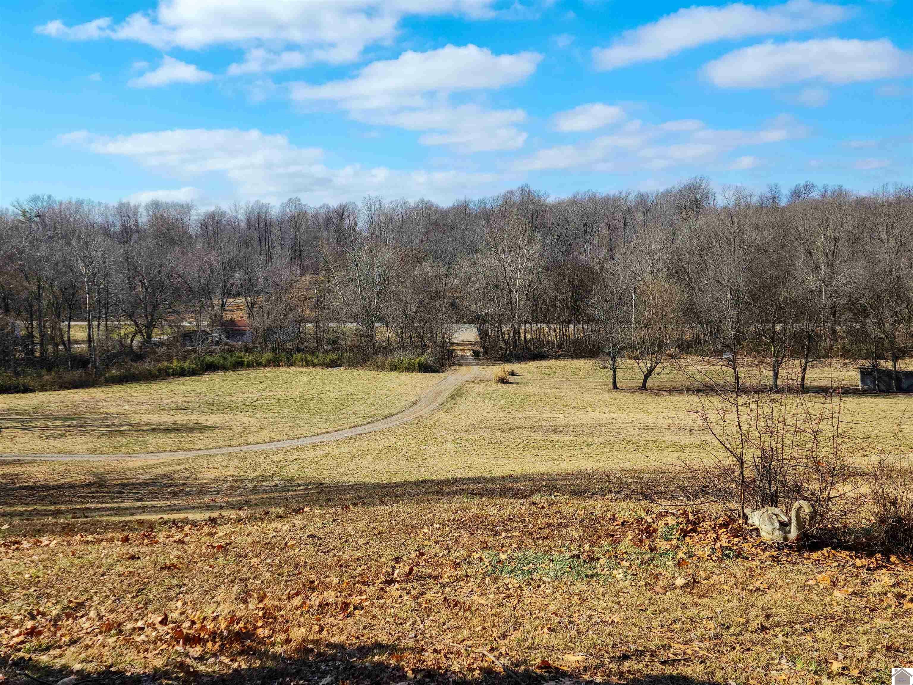 Property Photo:  1454 Barlow Rd  KY 42087 