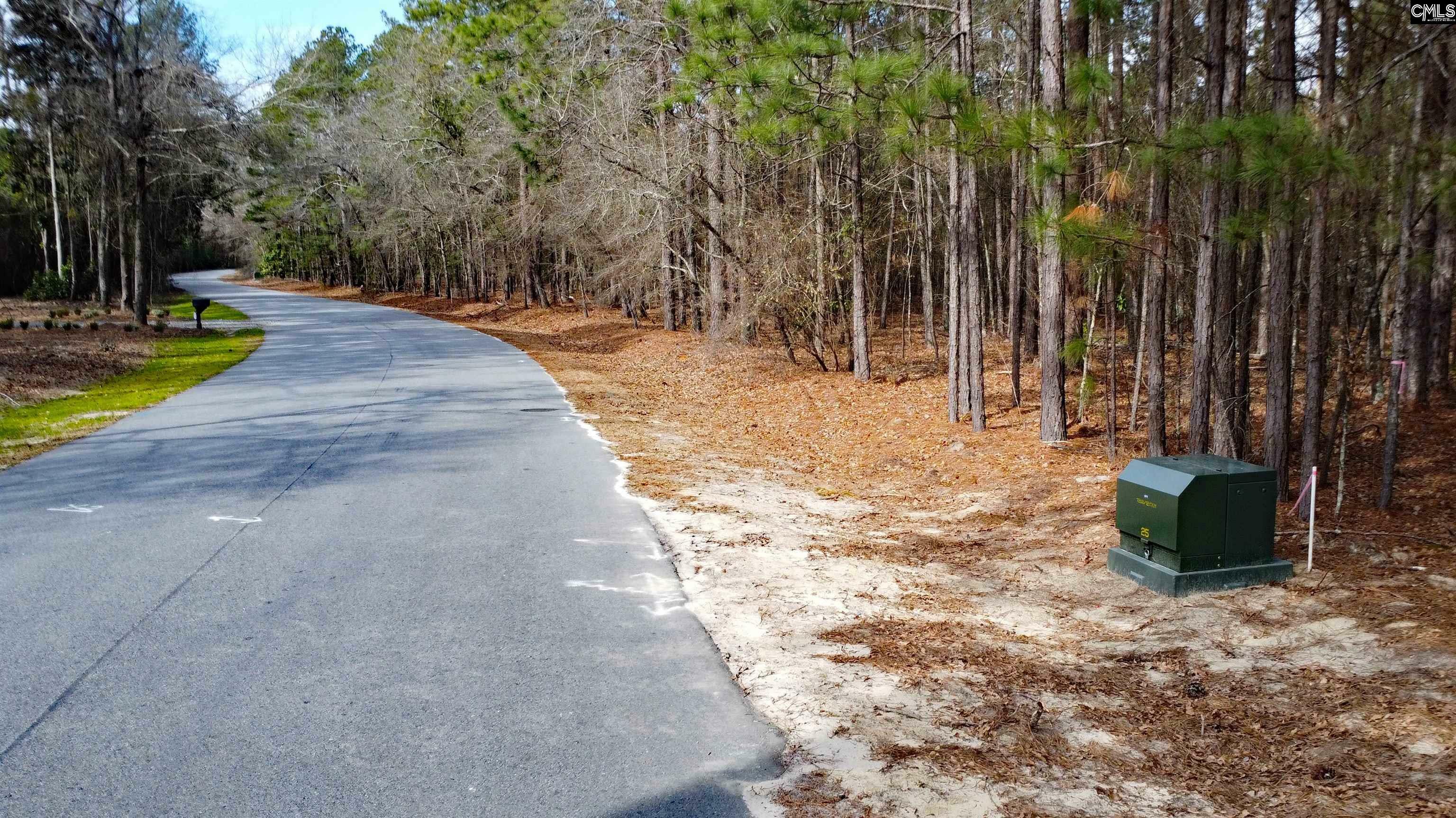 Property Photo:  Timberline Dr Lot B  SC 29020 