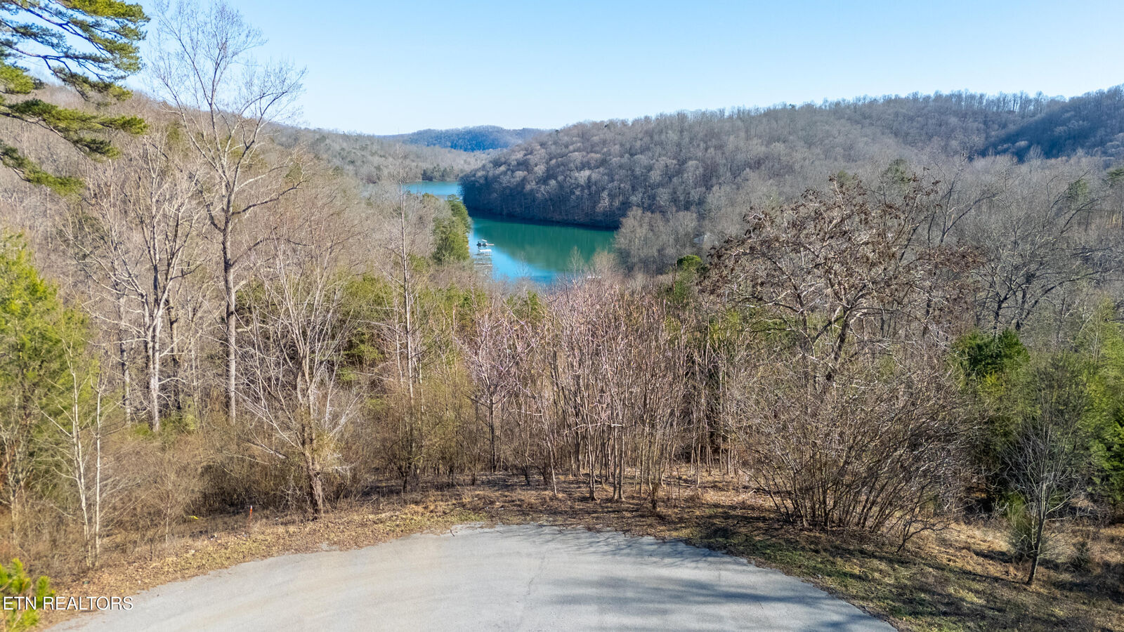Property Photo: Lot 3 Chapman Lane TN 37757