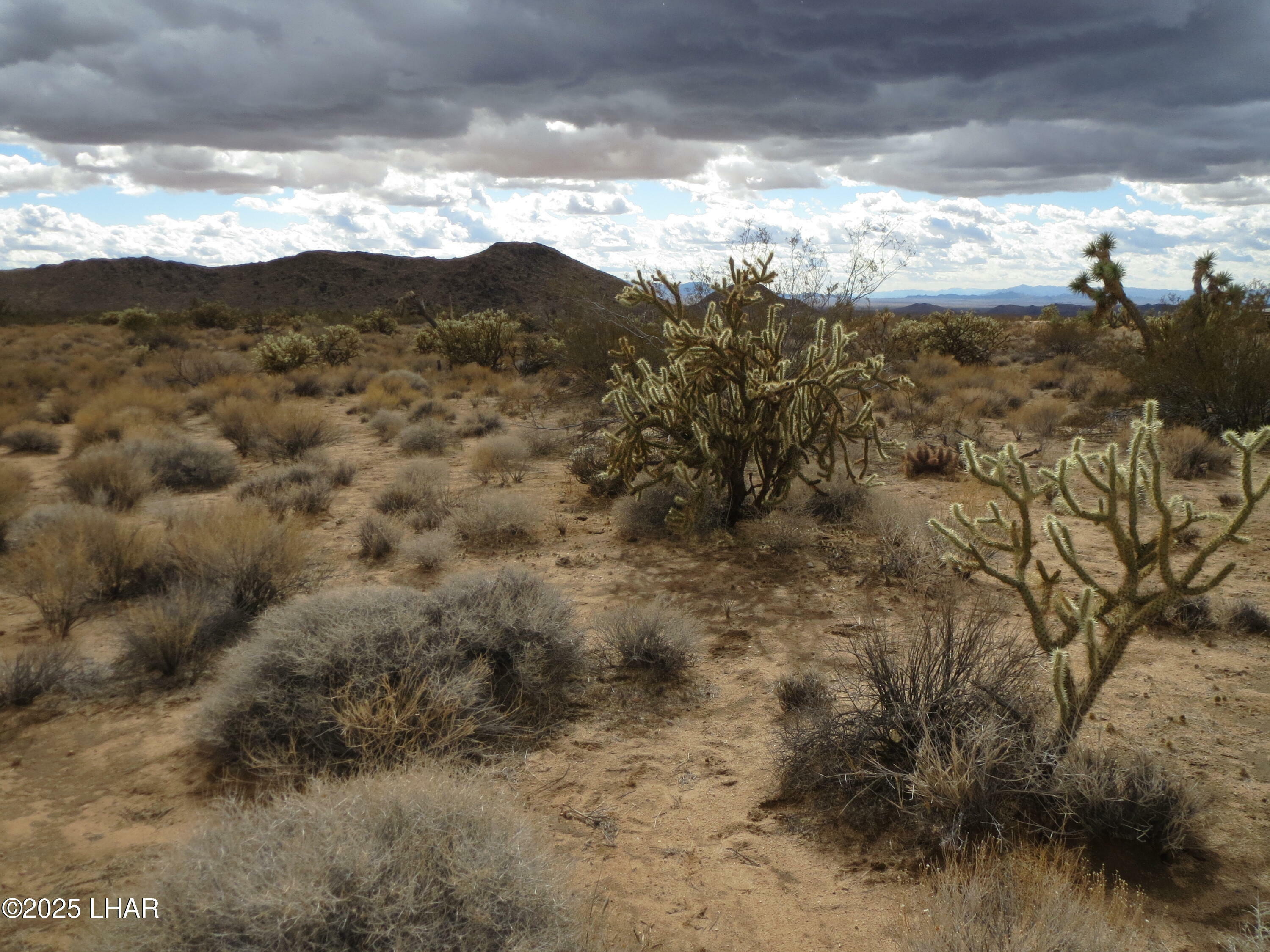Property Photo: 11844 S Desert View Rd AZ 86438