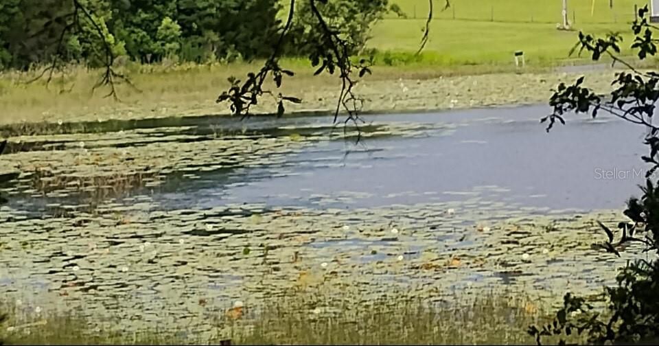 Property Photo:  S Lake Hiawatha Drive  FL 32159 