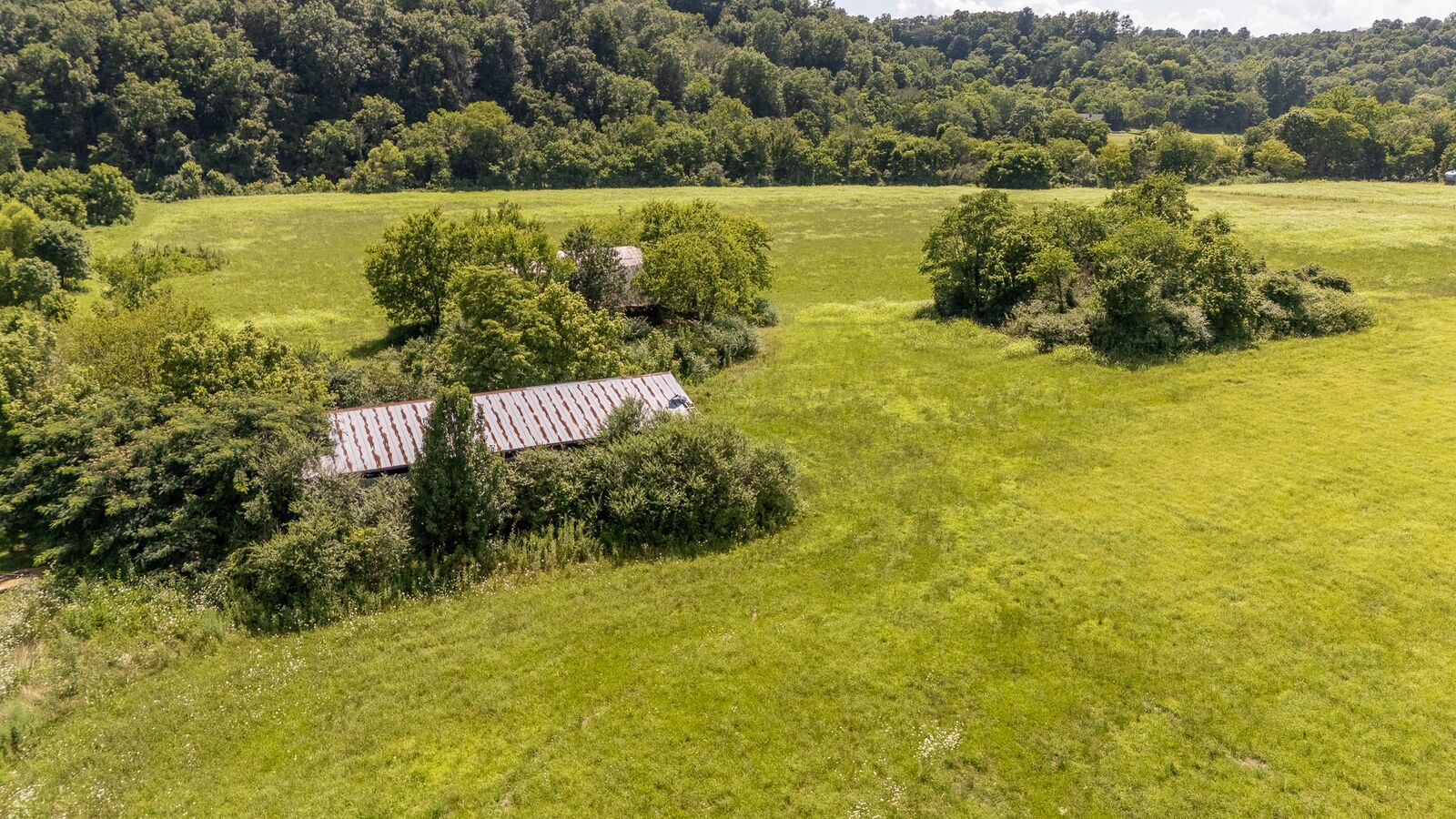 Property Photo: 4000 Weakley Creek Road TN 38464