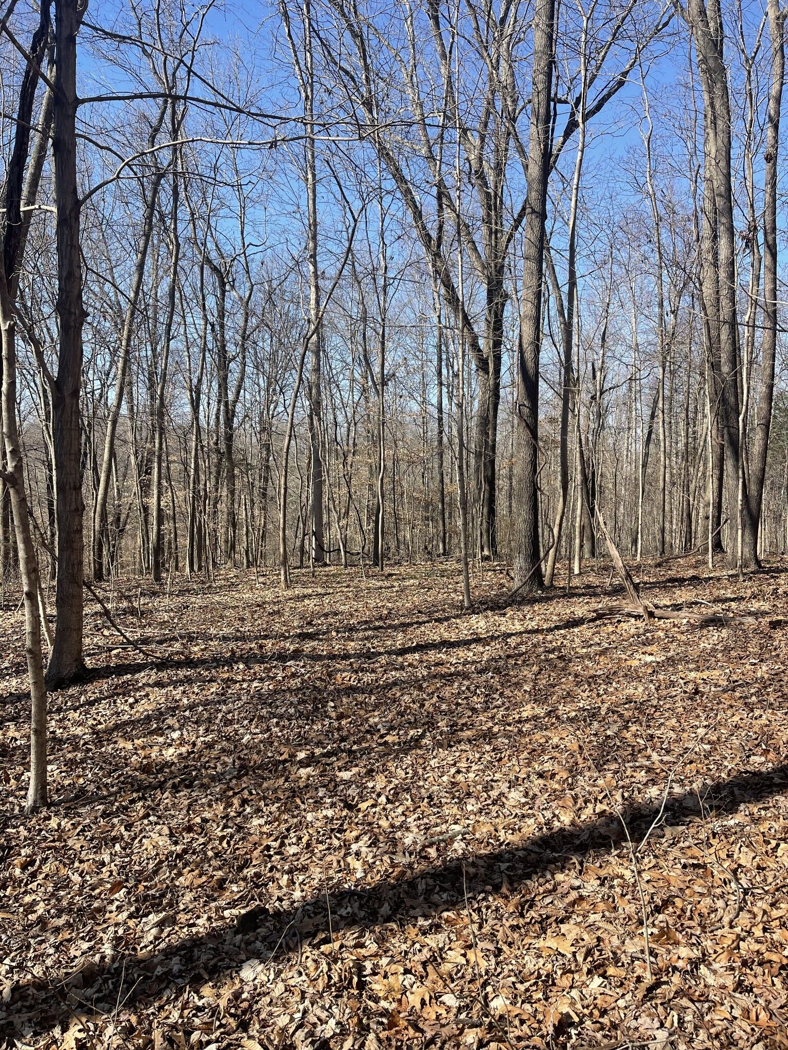 Property Photo:  165 Pleasant Hill Road  TN 37083 