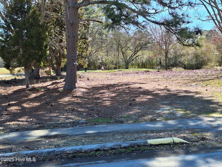 Tbd Roberts Road  Rich Square NC 27869 photo