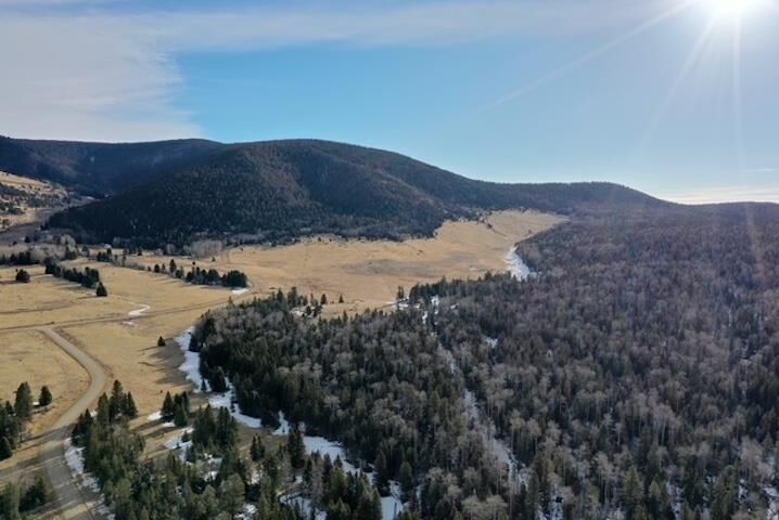 Property Photo: 49 Acres Off El Camino Real NM 87710