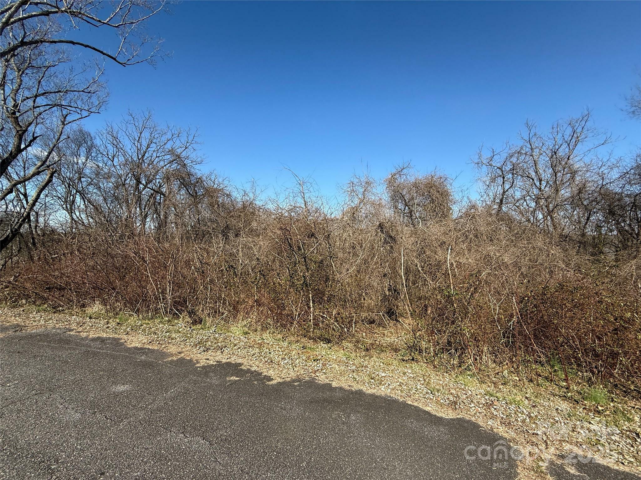 Property Photo:  296 19th Avenue SW  NC 28602 