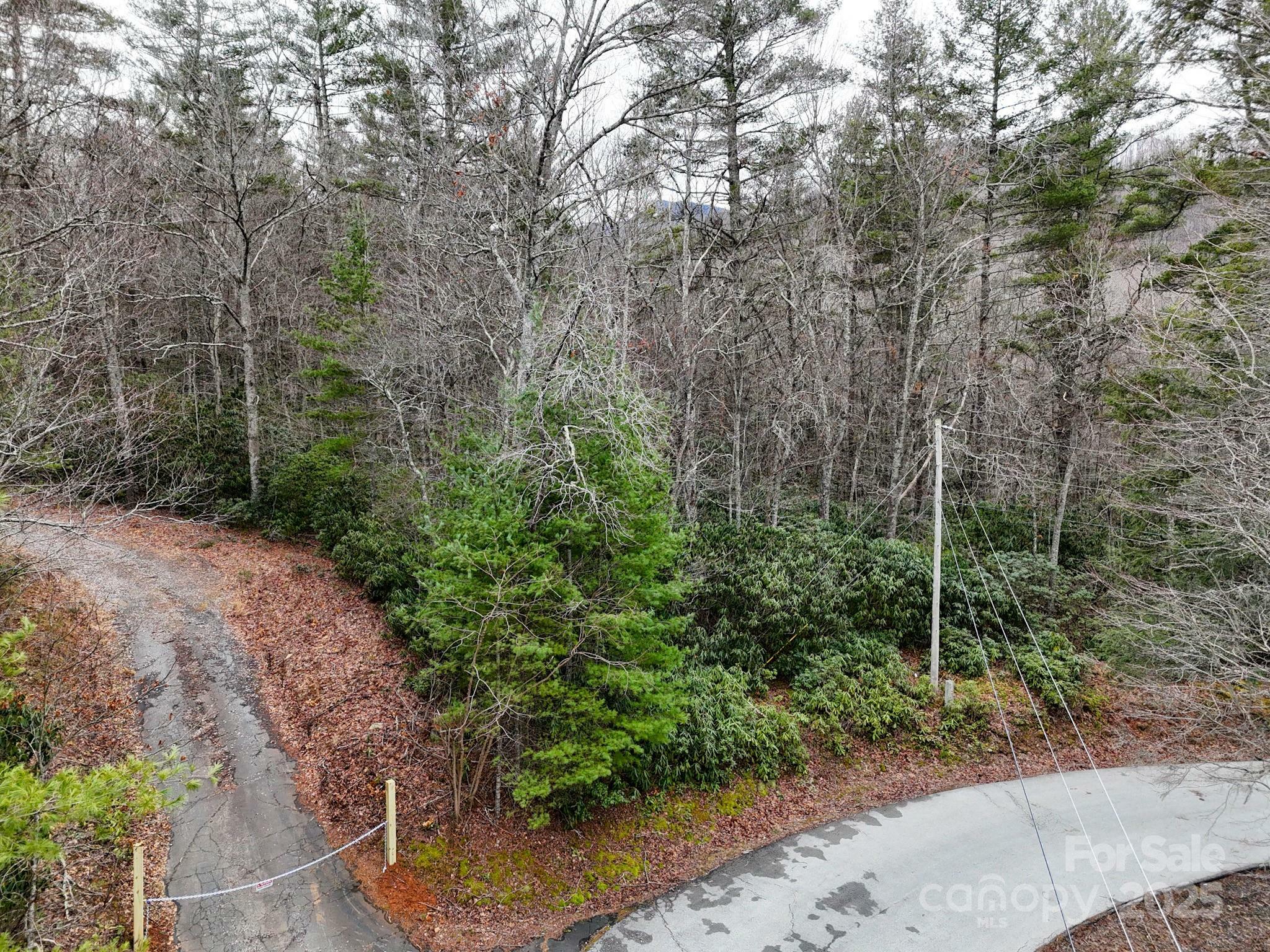 Tbd Reserve Drive 97  Burnsville NC 28714 photo