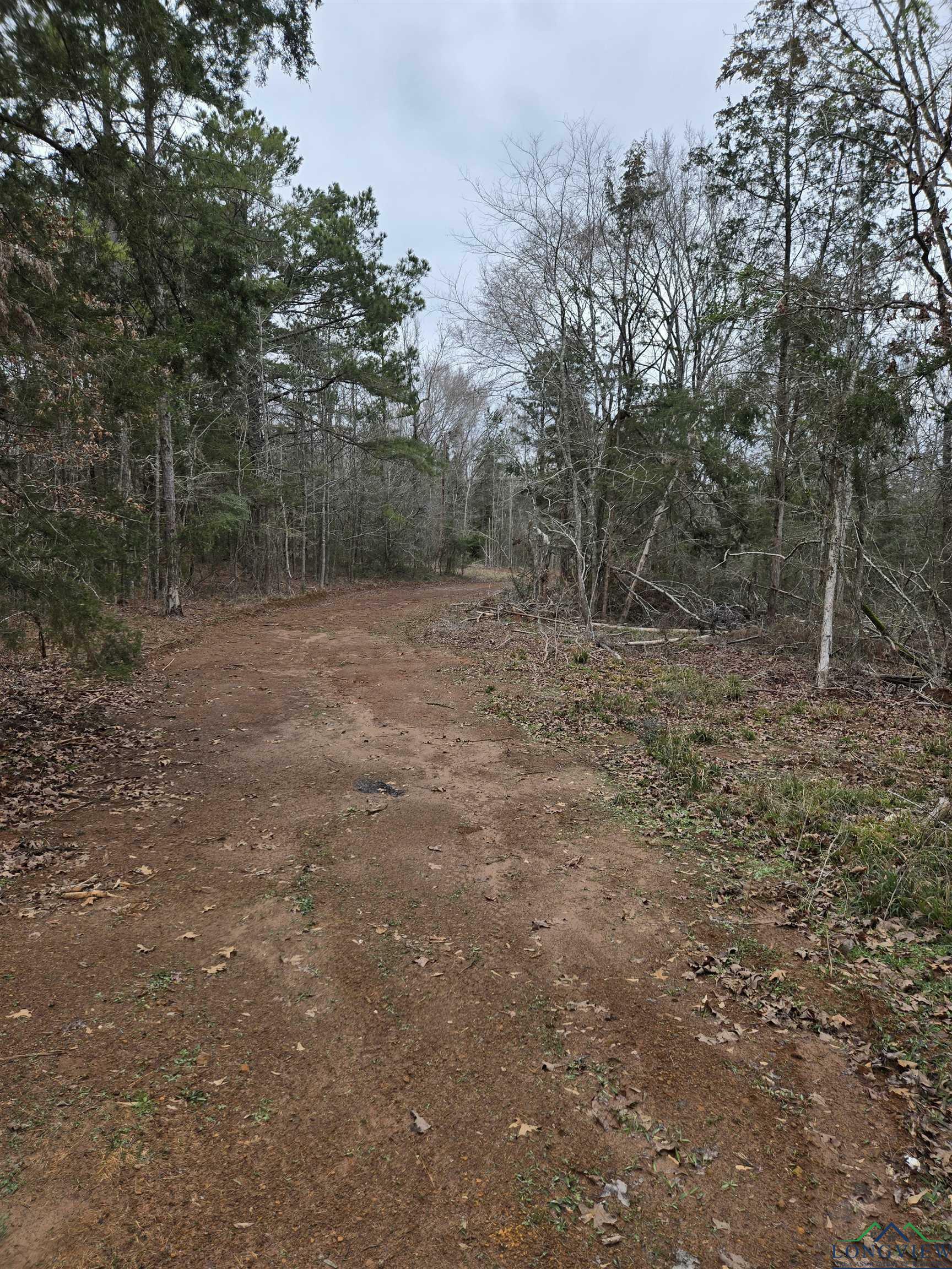 Property Photo:  0000 Cr 3206 (23.91ac)  TX 75667 