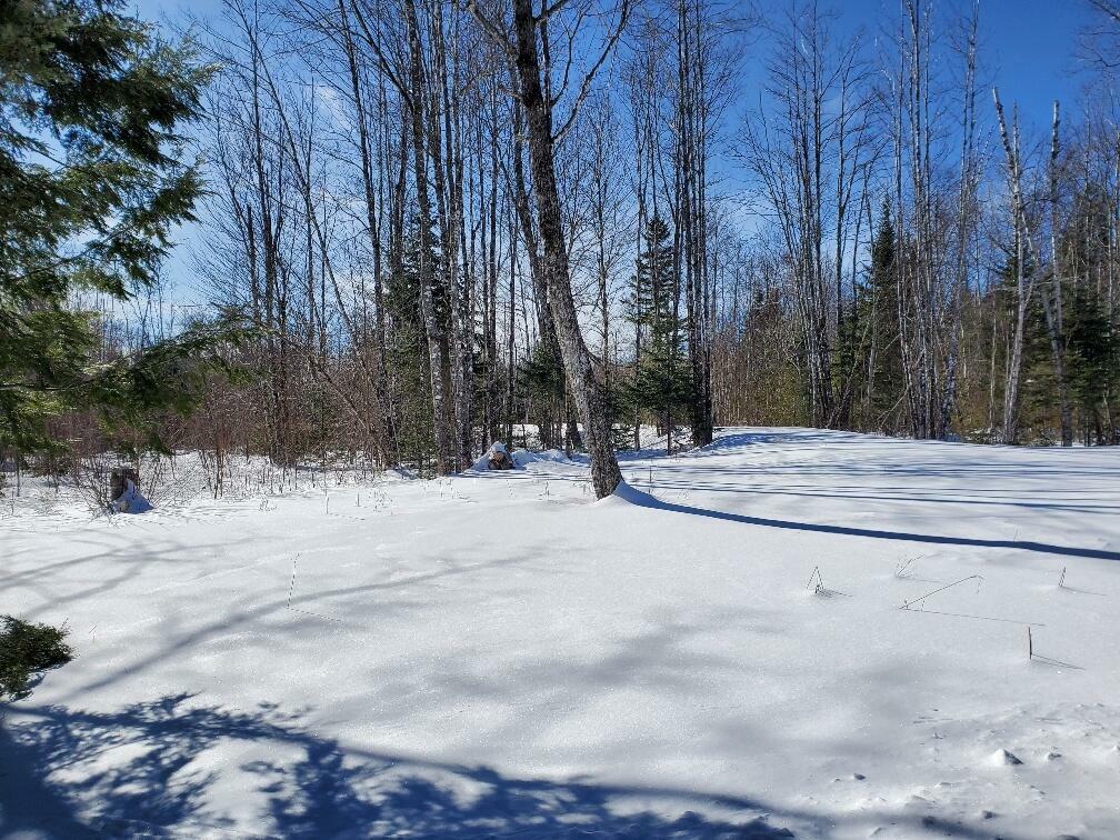 Property Photo:  Lot#2 Cone Road  ME 04471 