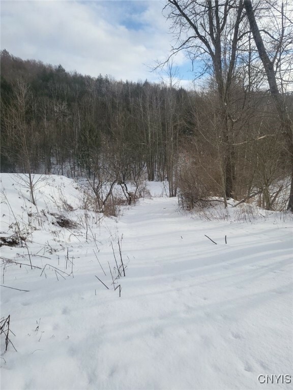 Property Photo: 580 Honey Hollow Road NY 13865