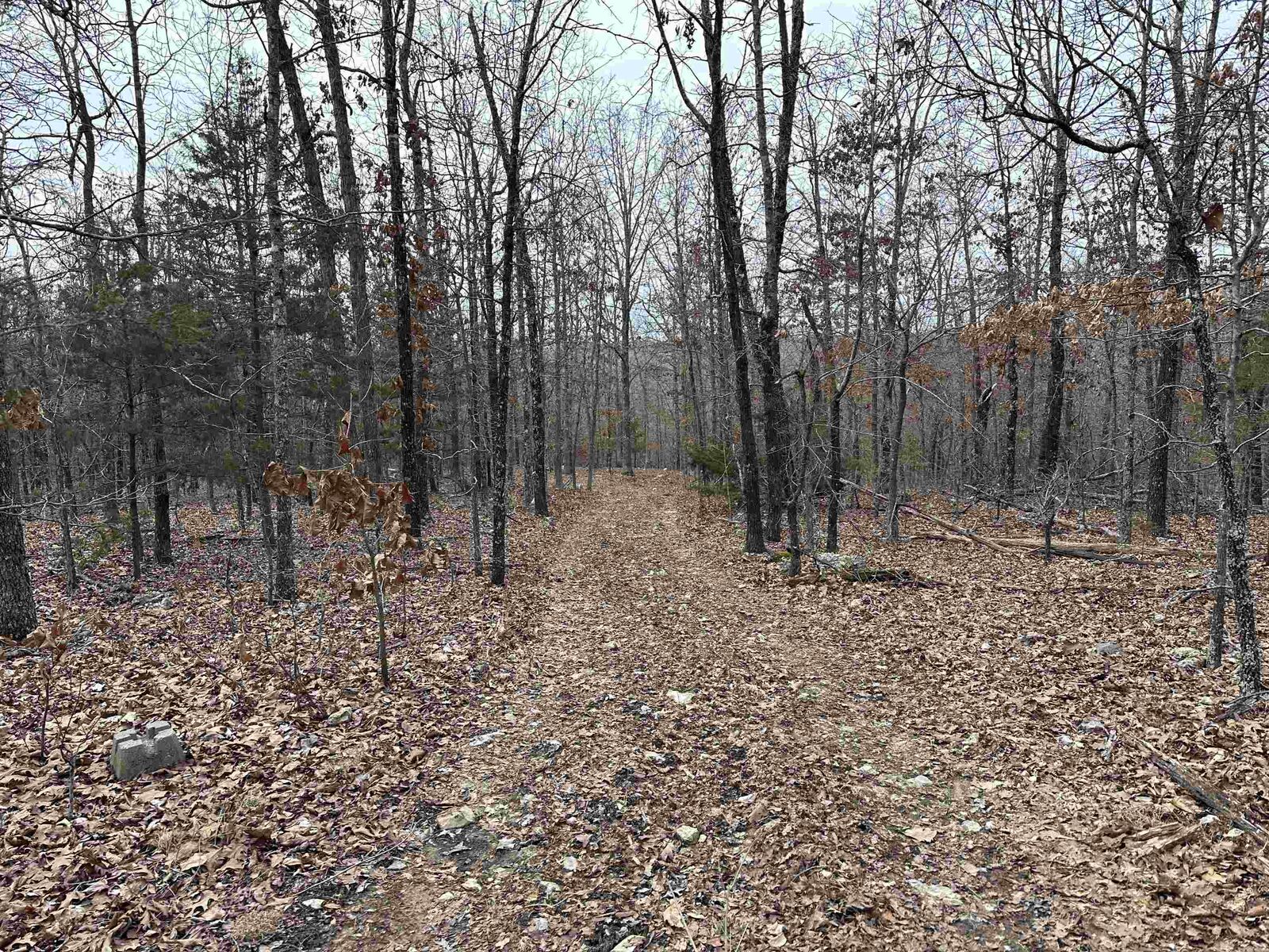 Property Photo: Whispering Oaks Trail AR 72542