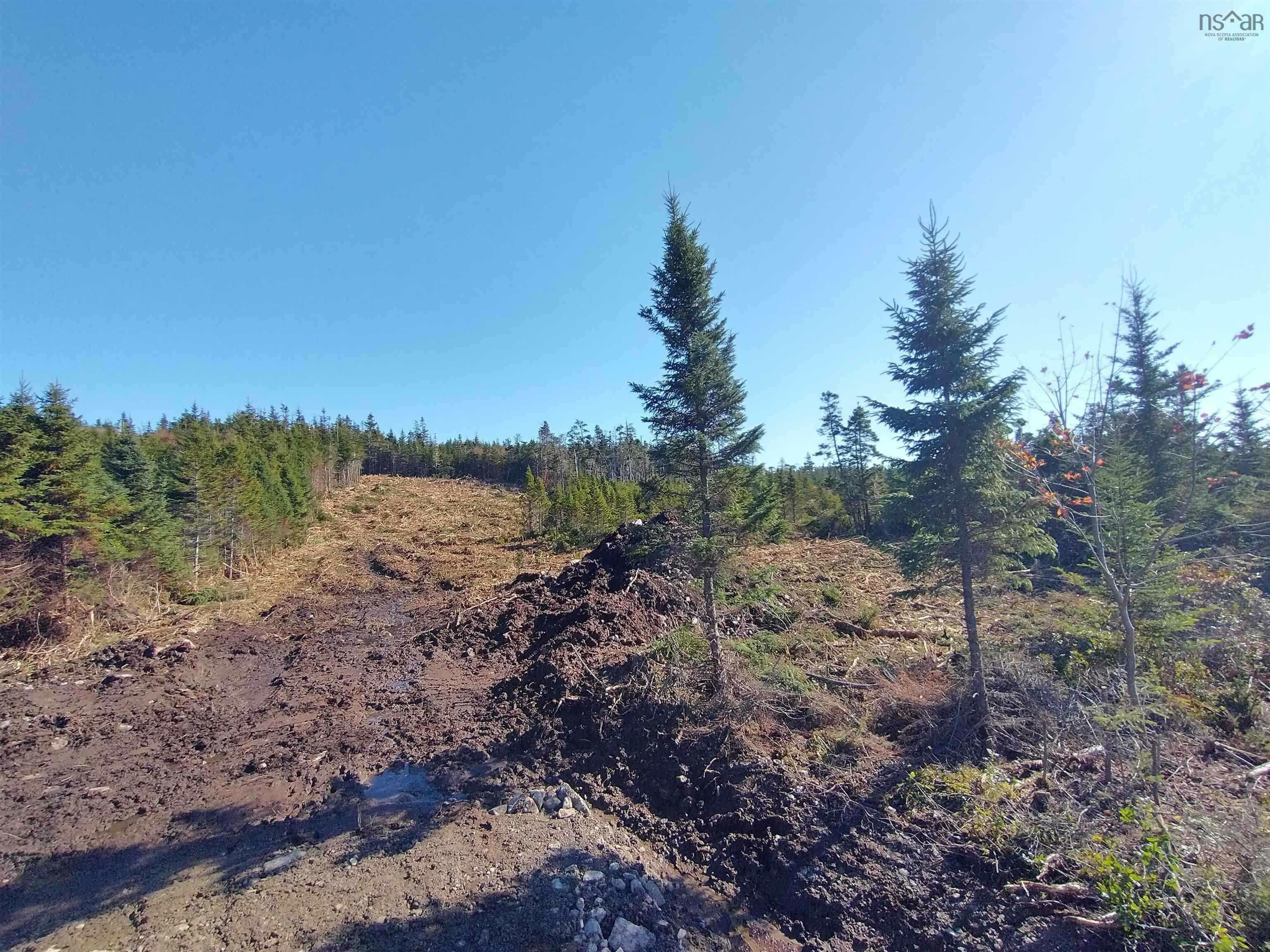 Property Photo:  Lot 0 Ostrea Lake Road  NS B0J 2L0 