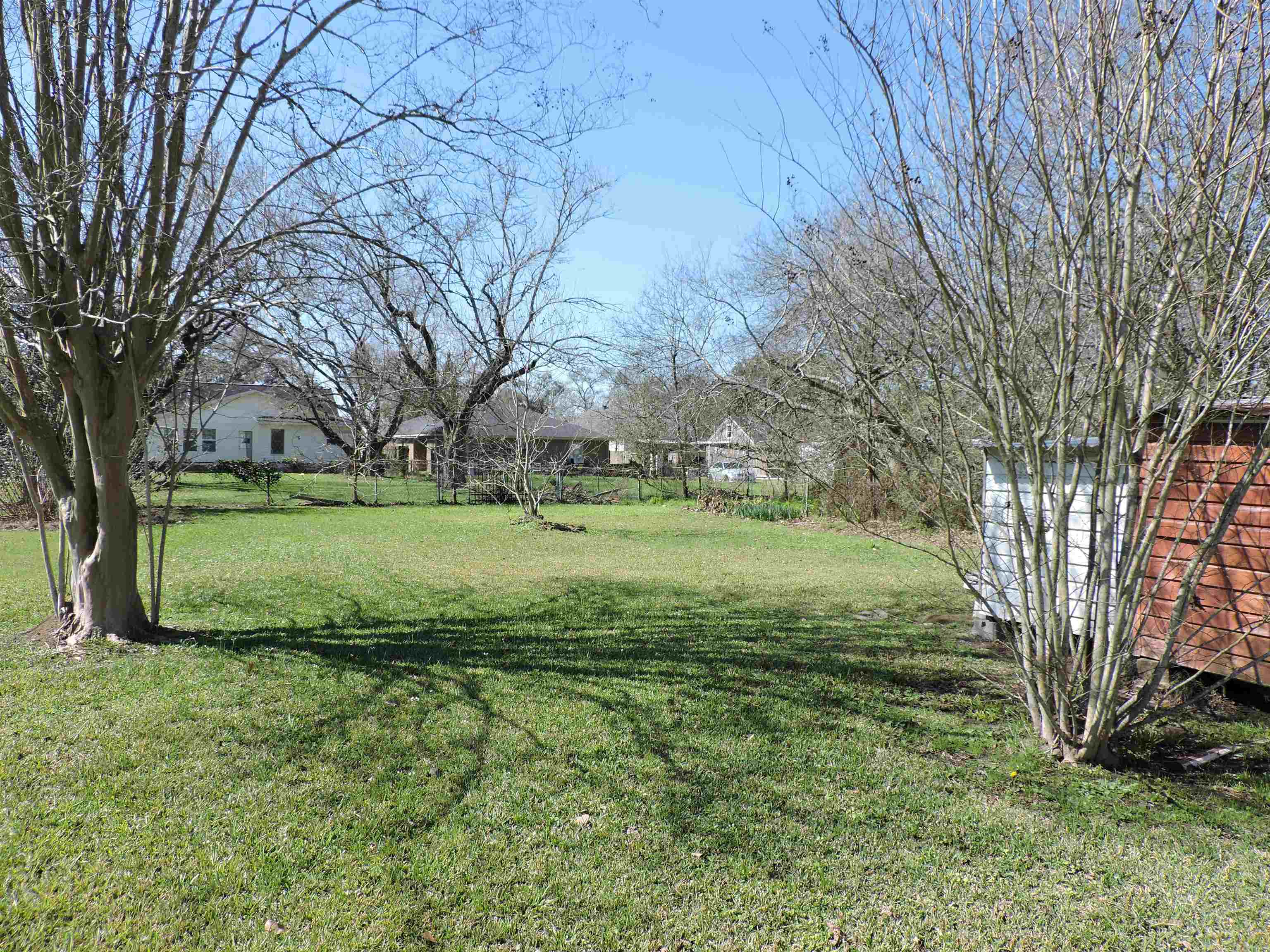 Property Photo:  133 Hilldale Dr  TX 77627 