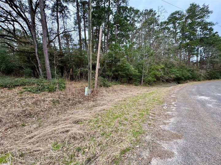 Property Photo: Lot 93 Whisperwood Drive TX 77360