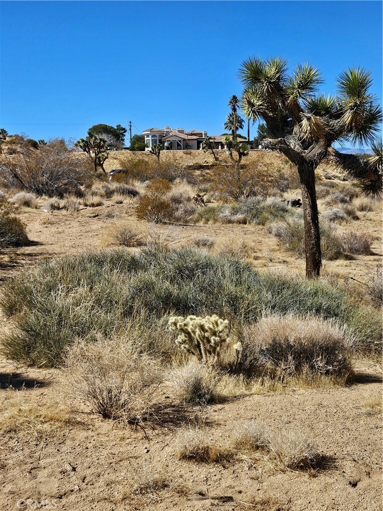 Property Photo:  0 Del Monte  CA 92284 