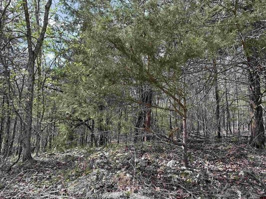 Property Photo:  Dovewood Lane  AR 72634 