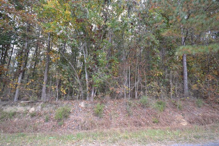 Property Photo: 0 Co Rd 1653 AL 35058 - CULLMAN