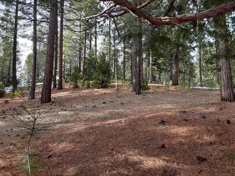 Property Photo:  288 Arrowleaf Road  CA 96122 