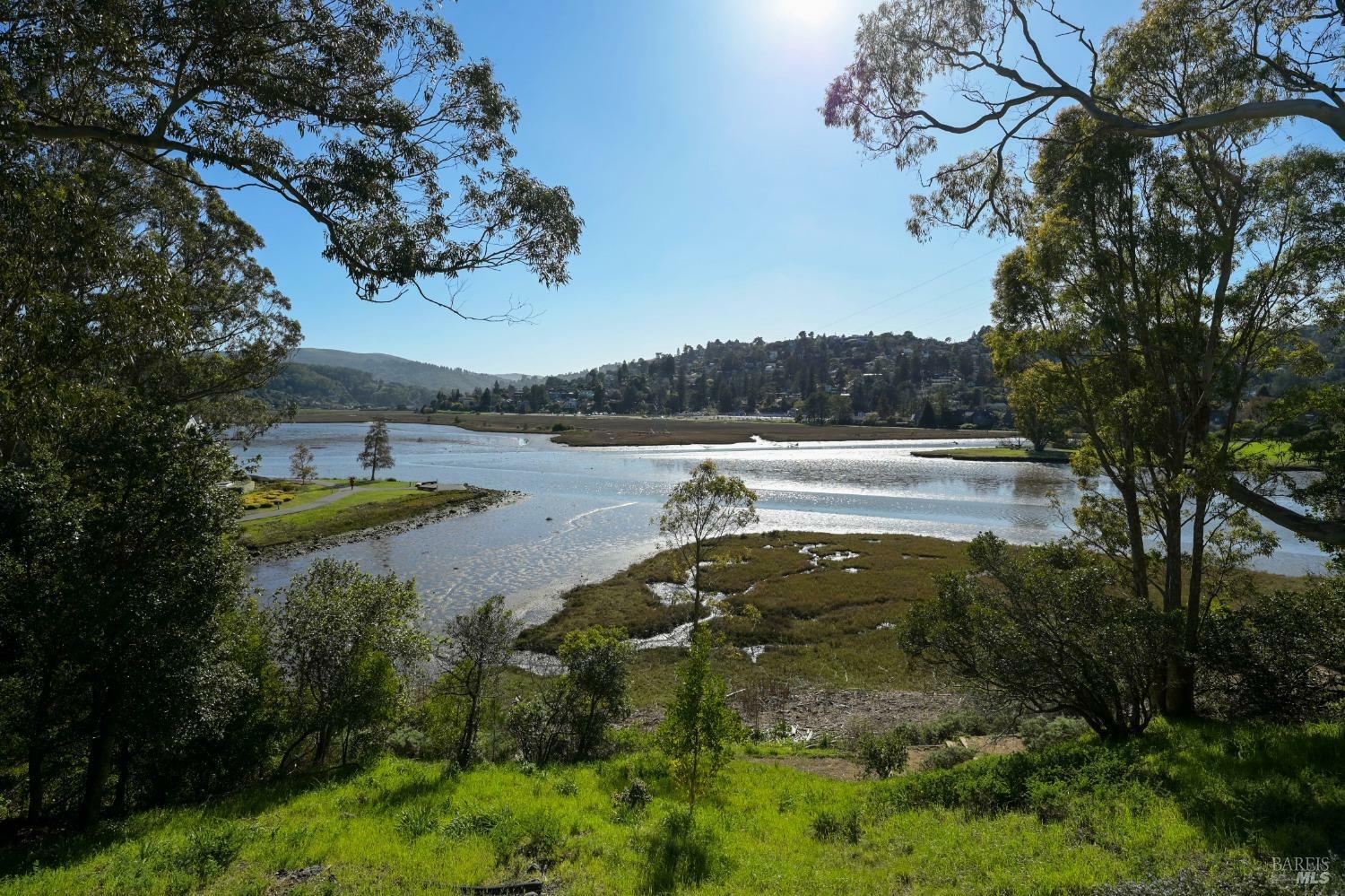 Property Photo: 80 Eucalyptus Knoll Street CA 94941