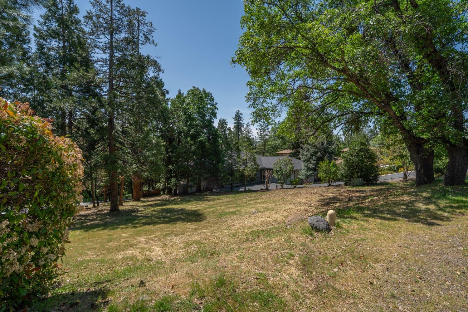 533 Forest Meadows Drive  Murphys CA 95247 photo