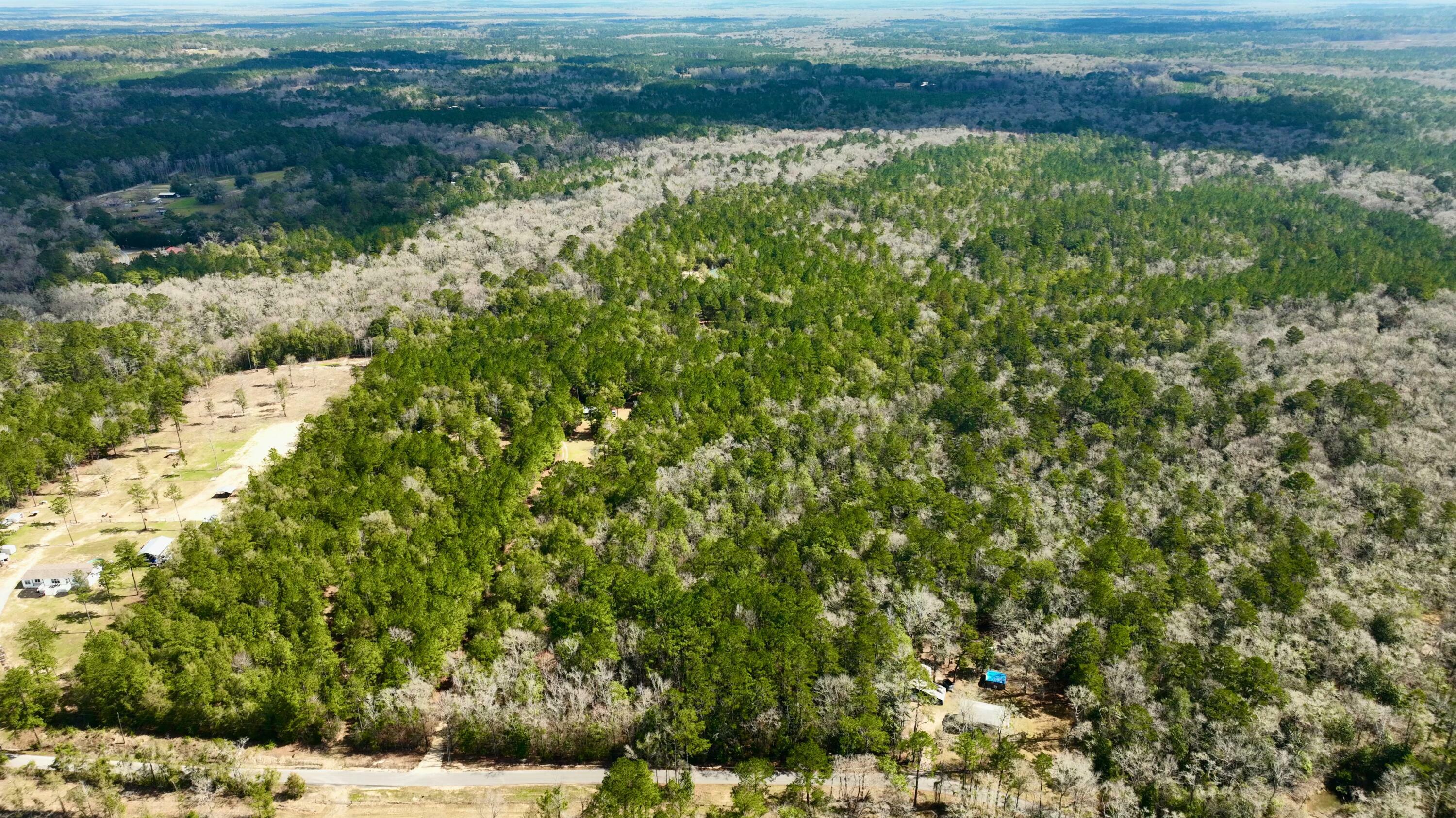 Property Photo:  Tbd White Creek Road  FL 32455 