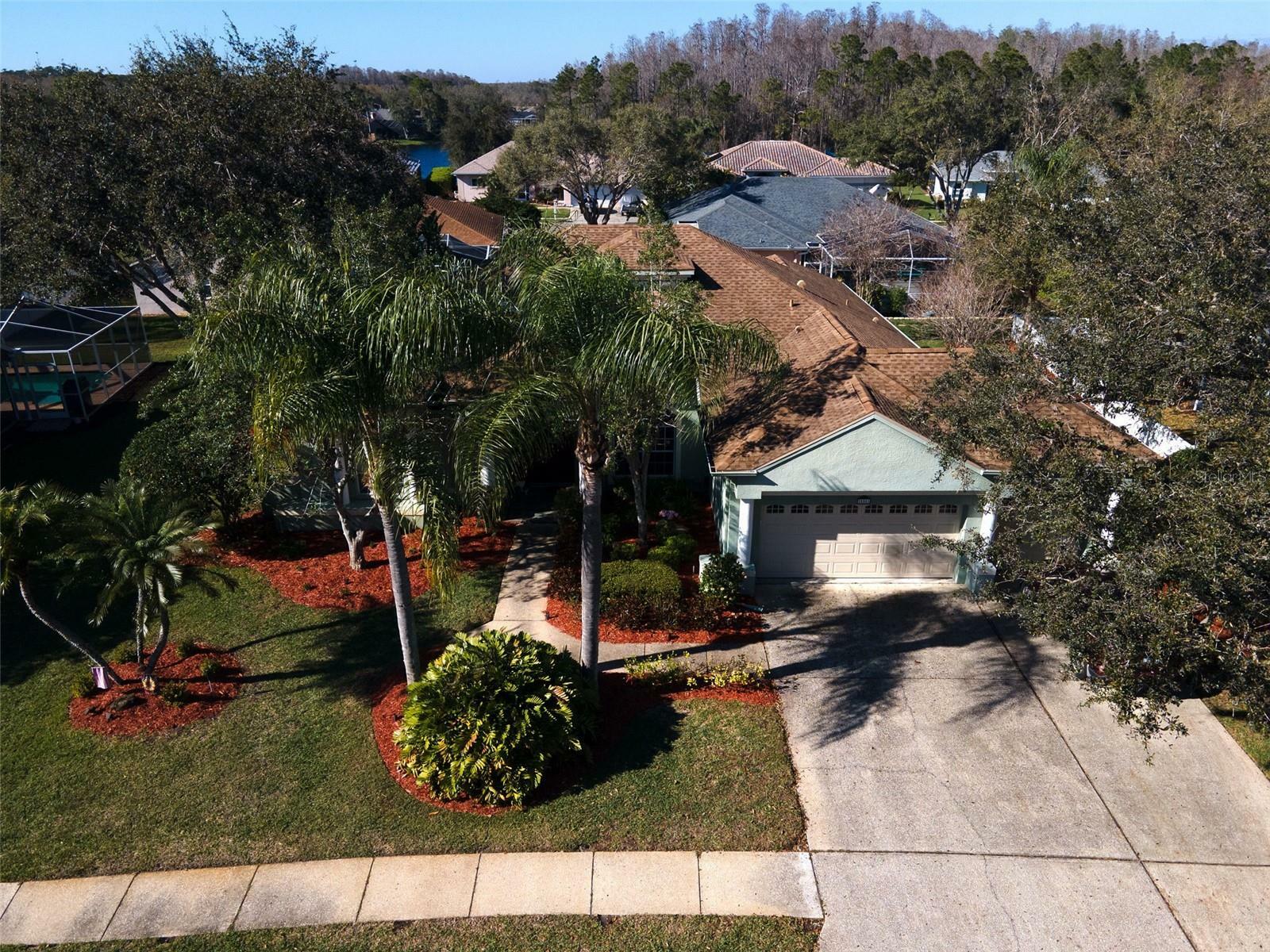 Property Photo:  5501 Stag Thicket Lane  FL 34685 