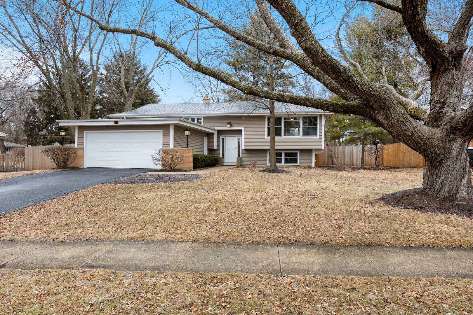 Property Photo:  413 Tupelo Avenue  IL 60540 